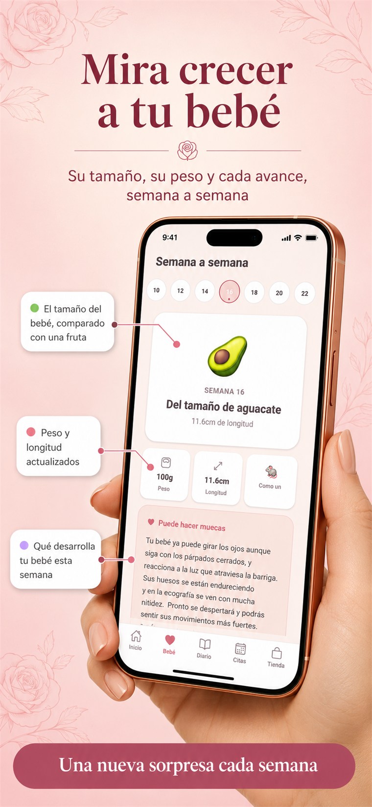Seguimiento del bebé semana a semana en Kalma.